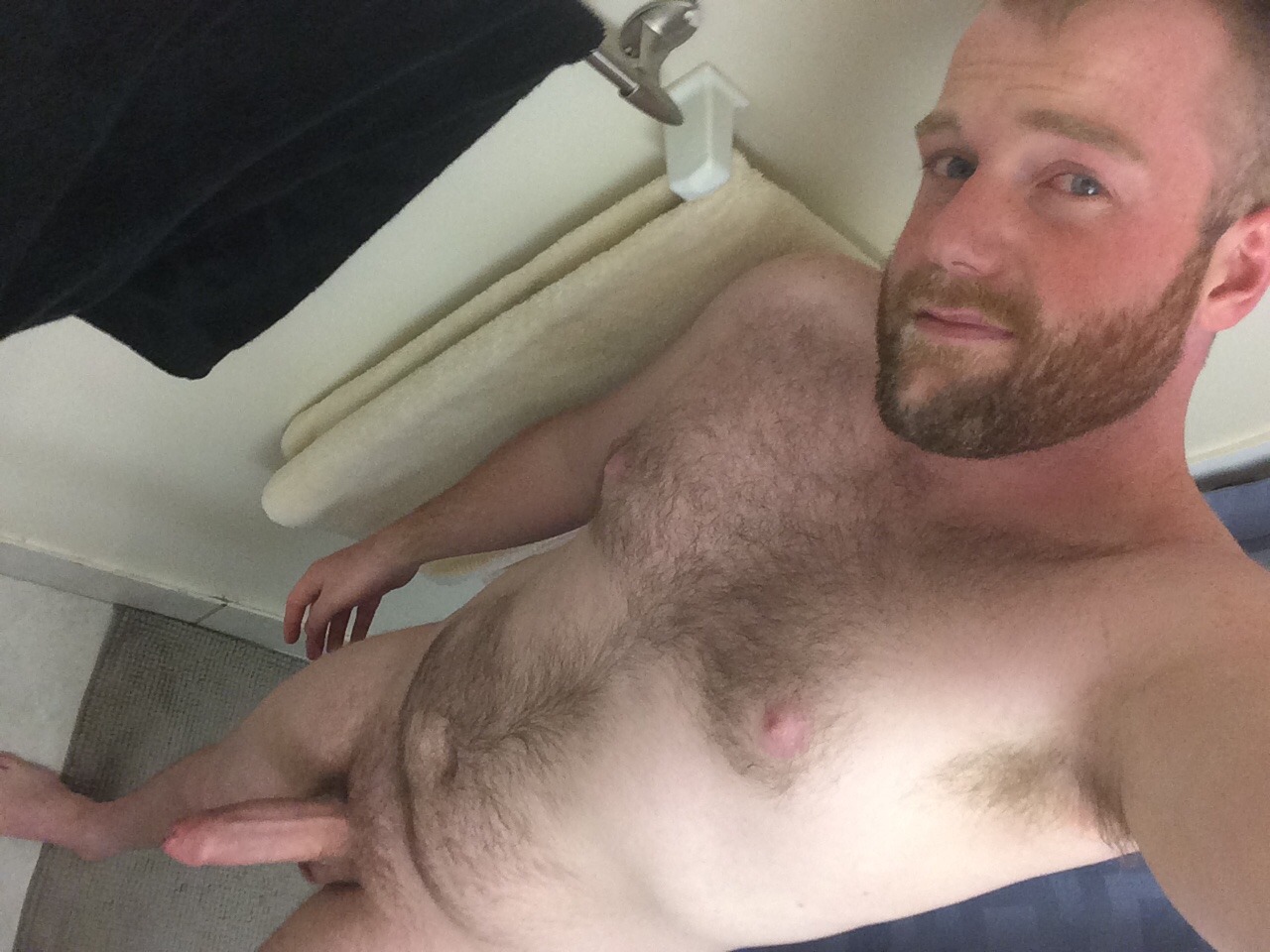 Hairy Bear