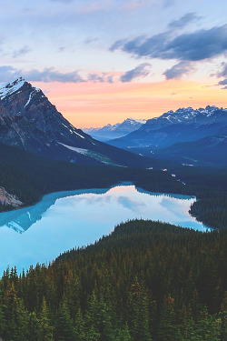 visualechoess:  Pretty in Pink - by: Rebecca