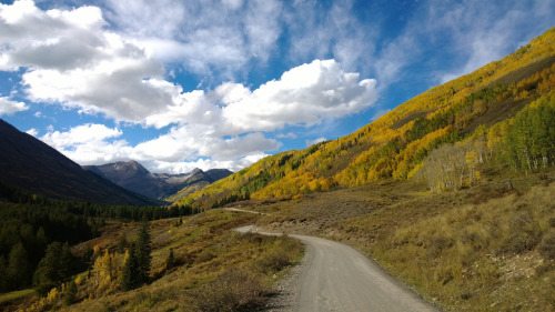 selidor: Crested Butte Autumn, by fry_dave