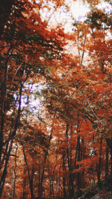 Autumn pictures tumblr
