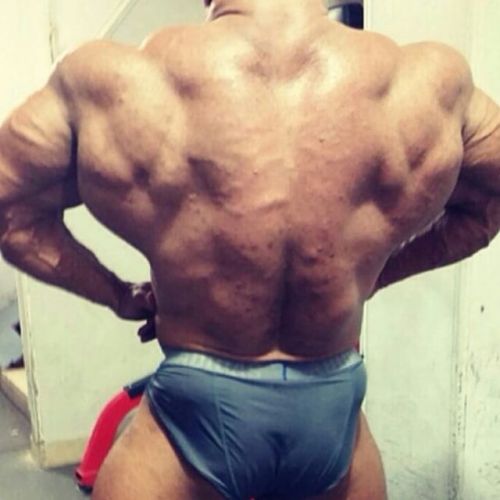 drwannabe:  Anwar Seif
