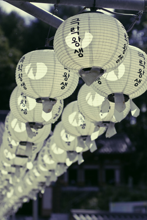 son-0f-zeus:Lanterns in a Nearby-Home Buddha Temple | Angga Kusuma