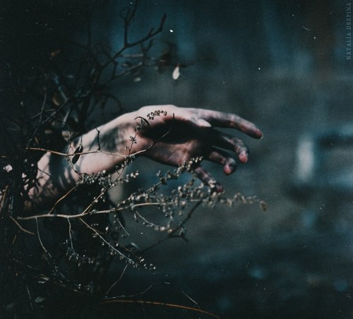 socialpsychopathblr:  By Natalia Drepina adult photos