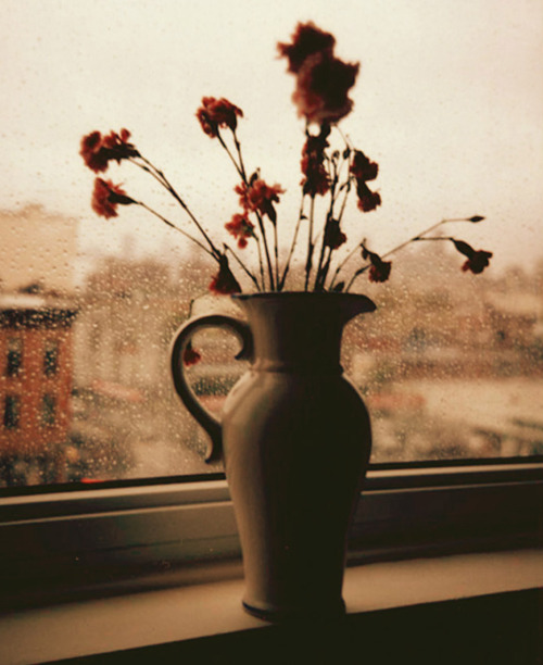 Vase, shot by Gustavo Marx