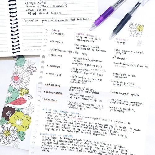 antarticle: some bio notes for my bio finals ✨ my teacher told us to focus on these highlights but t