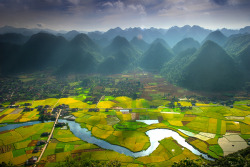 woodendreams:  (by Hai Thinh) 