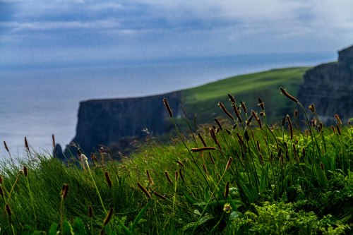 A Quiet morning on the Cliffs of Moher