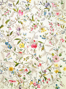 dappledwithshadow:William Kilburn: Wild flowers design for silk material, 1790.