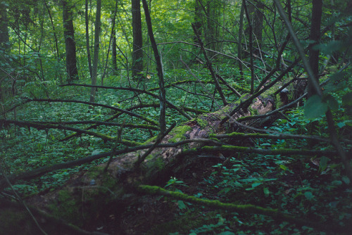 ghostof: Get lost, shot #5 by swante on Flickr.