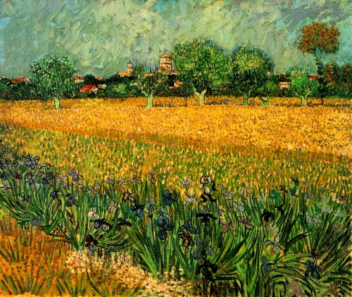 View of Arles with Irises - Vincent van Gogh Post-impressionism