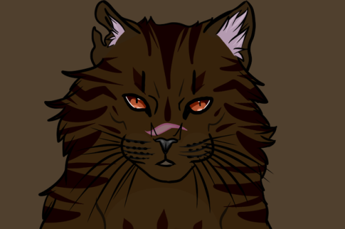 tigerstar!-i am doing headshot commissions for $2! the headshots will look like the one above. pleas