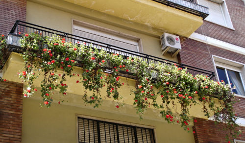Balcony Garden