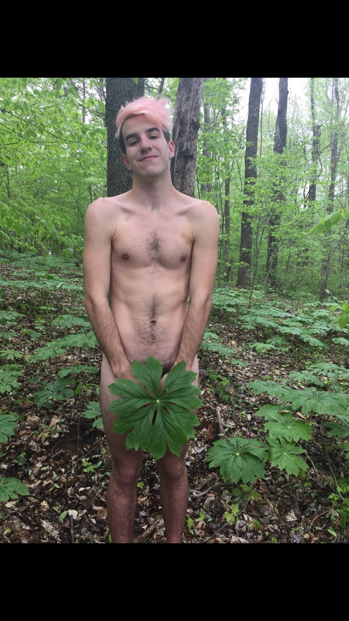 the-uppity-b:  Local forest nymph