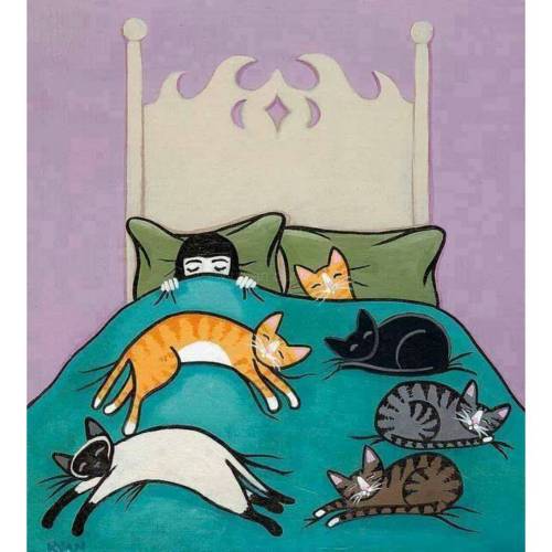 ☾ ♎ ☽ #everynight ☄ #crazycatlady ☄ ▫▫▫▫▫▫▫▫▫▫▫▫▫▫▫▫▫▫▫▫