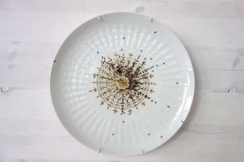 culturenlifestyle:  Hand Painted Ants Cover Vintage Porcelain Dishes  German artist Evelyn Bracklow creates uniquely beautiful and unconventional porcelain dishes which are covered by hand-painted ants. Bracklow’s impressive technique resembles those