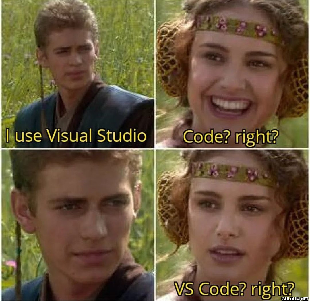 I use Visual Studio B...