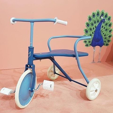 tricycle foxrider