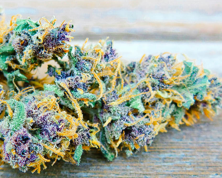 thegrowbook:  MASSIVE SALE! Get your dope caps now! Use the code GROW for an EXTRA
