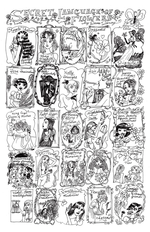 Secret Language Of Flowers By Dame Darcy