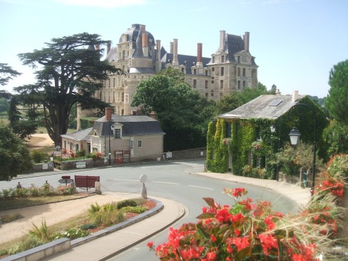 castlesandmedievals:Château de Montreuil-Bellay