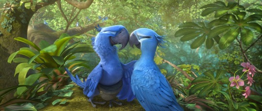 moonymango:  Yo, you guys remember Rio from Blue Sky Studios (Happy Feet, The Peanuts Movie)? Y’know, that movie about a Spix’s Macaw that believes to be the last of his kind? And then finds out that he isn’t? And proceeds to find friends, have