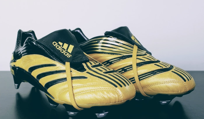 gold and black predators