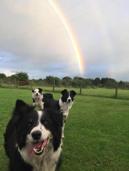 awwww-cute:  The best picture I’ll ever take in my life. (Source: https://ift.tt/2nLoYW6)