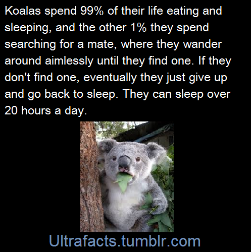 vancity604778kid:  ultrafacts:  Source  If you want more facts, follow Ultrafacts
