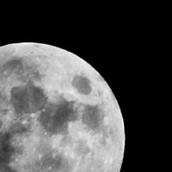 greywcren:  the moon adventures continue 