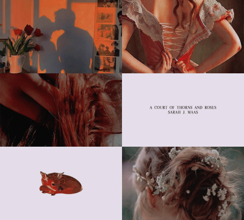 gwyns:my favorite ships:elain archeron and lucien vanserra — a court of thorns and roses (2015 - ?)i