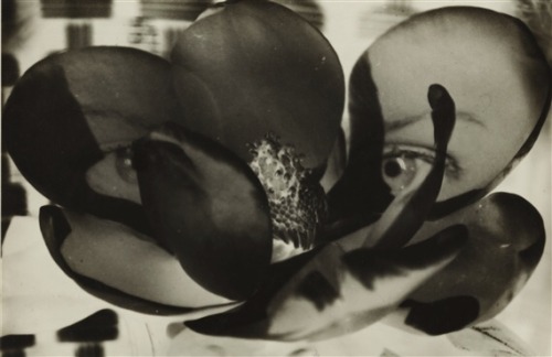 zzzze:  Man Ray MAGNOLIA (DOUBLE EXPOSURE) porn pictures