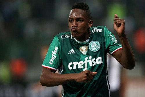 palmeiras