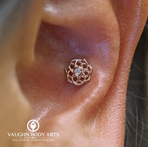 What a gorgeous conch piercing Shay got to do for Yaneth! Yaneth picked out this lovely “Shand