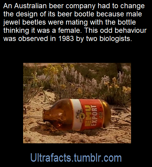 ultrafacts:  Source: [x]Click HERE for more facts!