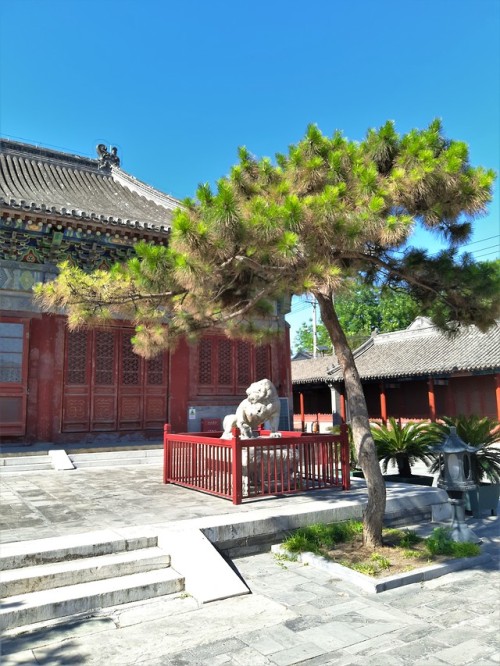Miaoying Temple, in Beijing