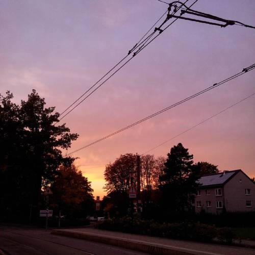 The #light Of #dusk Over #Dortmund #Dorstfeld 12.10.15 #tram #wires #wiregraphy (hier: Wittener Str.)
