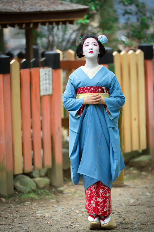 This coordinate owned by Tama okiya (Gion Kobu) is for senior maiko and is currently being worn by M