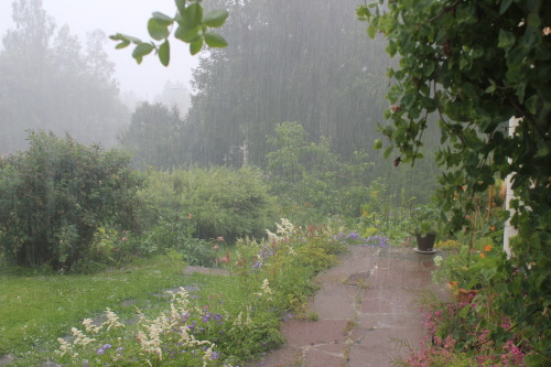 plantcosmos:   i took one step out the front door and got soaking wet 