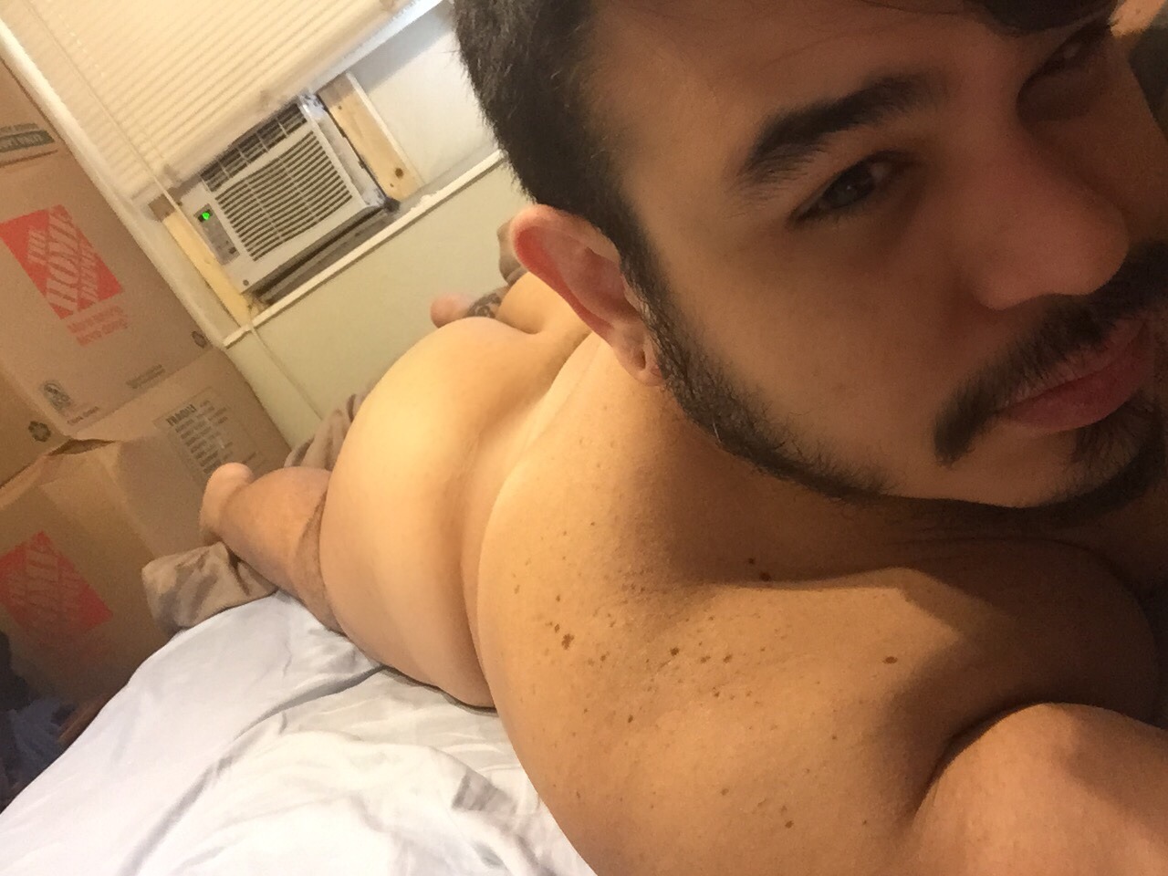 bearsnsox:  gays-cats-and-funnies couldn’t figure out which pics of my cakes to