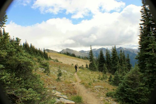 explore-pnw:Grand Ridge via Obstruction Point, Washington – I’ll follow you anywhere –
