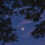 midnghtsky
