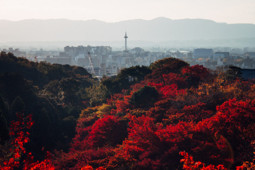 Kyoto is so full of things.