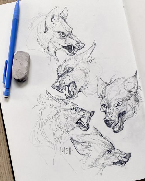 Wolf sketches from ref! Been getting back into sketchbook stuff and it’s been nice.Process video for