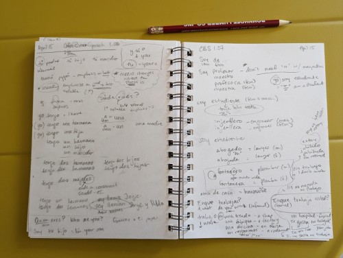 2024.04.14 Hour +1.5 - Coffee Break Spanish 1.06 & 1.07 + Tumblr Notes