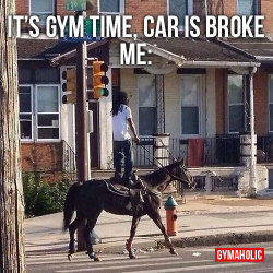 gymaaholic:  It’s Gym Time, Car is BrokeNo