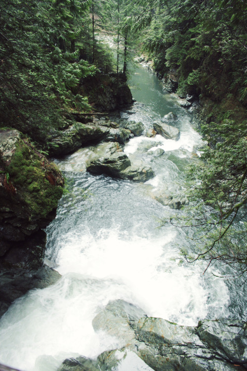 matchbox-mouse:Standing over the river.Hiking in Lynn Canyon, British Columbia.