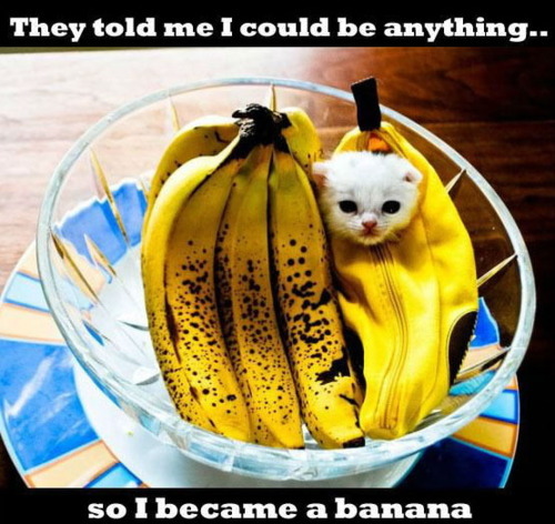 First memes