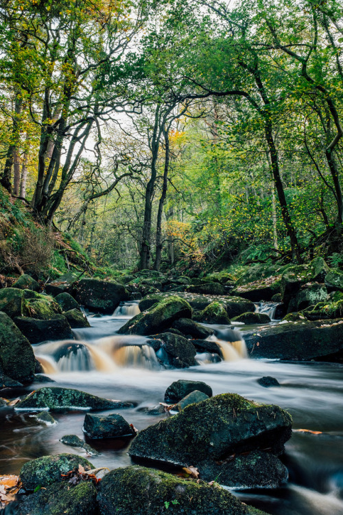 Autmnal Padley Gorge by danialsturge