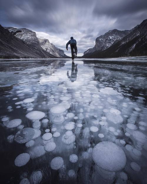 lensblr-network:The incredible bubbles…I skated to the far end of Lake Minnewanka yesterday and just