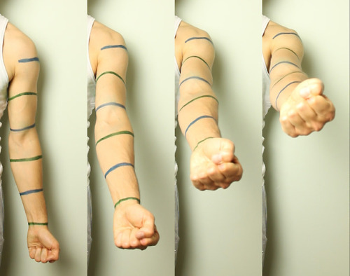 eschergirls: drawandshare: Helpful! A photo tutorial to help people with foreshortening arms that I 